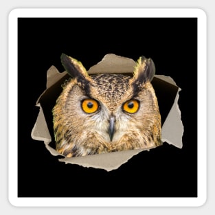 Great Horned Owl Lover Funny Bird Graphic Sticker